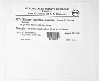 Image Associated With the Occurence